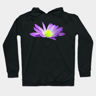 purple blooming flower, flowers, garden, blooms, violet Hoodie